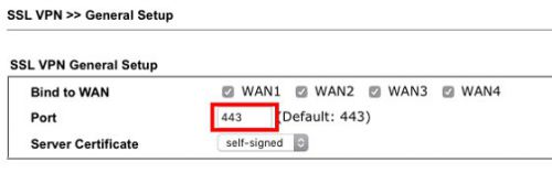 SSL VPN >> General Setup